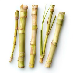 Fototapeta premium Five sugarcane stalks with leaves are lying on a white background, ready for processing and consumption