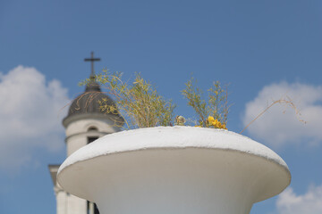 Wild plants growing in a white concrete vase with church tower and cross blurred in background