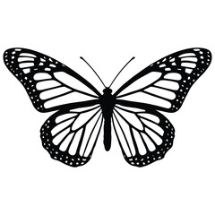 Elegant Butterfly Silhouettes