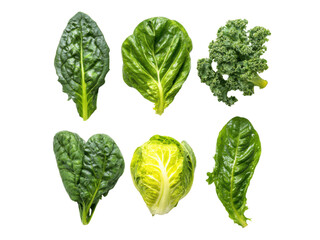 Fresh green leafy vegetables arranged on black background spinach kale, Isolated, Transparent Png