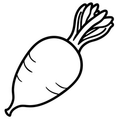Daikon radish line art vector