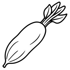 Daikon radish line art vector