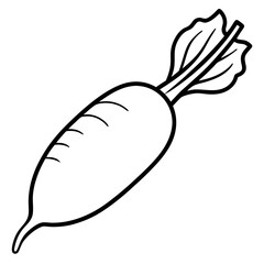 Daikon radish line art vector