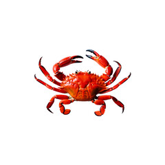 Vibrant red crab with claws raised against a striking black background