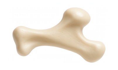 Tarsal bone of a frog with compact structure and smooth surface