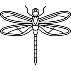 Dragonfly line art vector