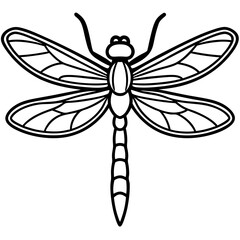 Dragonfly line art vector