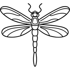 Dragonfly line art vector