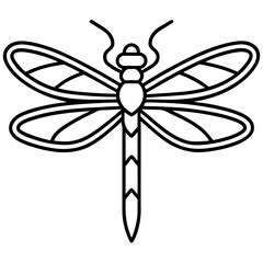 Dragonfly line art vector