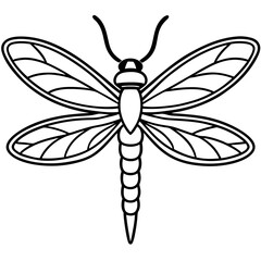 Dragonfly line art vector