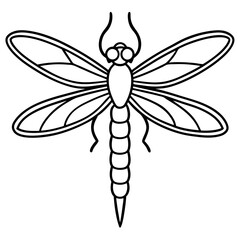 Dragonfly line art vector