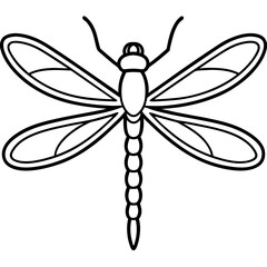 Dragonfly line art vector