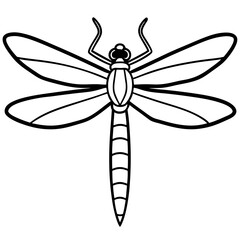 Dragonfly line art vector