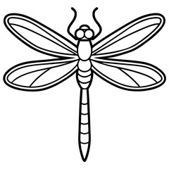 Dragonfly line art vector