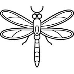 Dragonfly line art vector