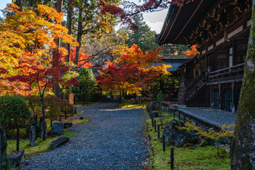 The beautiful Shinsho Gokurakuji Temple on a sunny morning during fall season, in Kyoto, Japan.