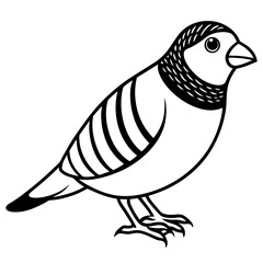 Zebra Finch Silhouette Line Artwork