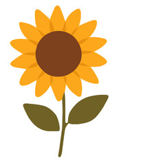 Flat Autumn Fall Vector Icons Sunflower