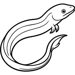 Eel line art vector