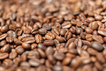 Fresh premium roasted brown Arabica coffee beans background