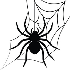 Spooky spider with intricate web design perfect for halloween celebrations