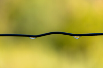 A wire fence with a droplet of water on it