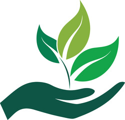 hand holding leaf creative logo icon on white back.eps