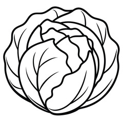 Fresh green cabbage illustration isolated on a clean white background for design