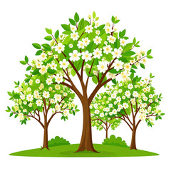 Vibrant sptime flowe trees with lush green leaves and white blossoms in a serene natural landscape perfect for outdoor nature scenes and gardening themes