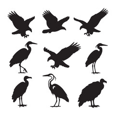 Collection of Nine Black Silhouettes of Birds Eagles Herons and a Vulture on White Background Bird Silhouettes Set Wildlife Vector Graphic