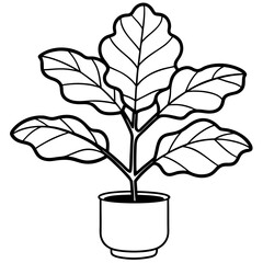 Fiddle Leaf Fig line art vector