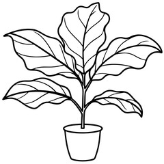 Fiddle Leaf Fig line art vector