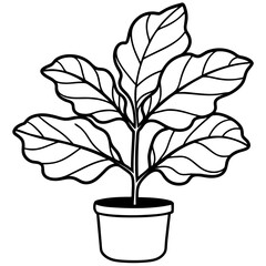 Obraz premium Fiddle Leaf Fig line art vector
