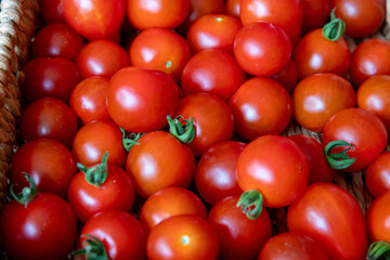Panier de tomates cerises