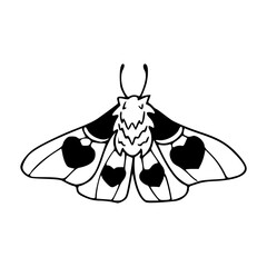 minimalist moth design with ornate details