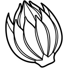 Endive line art vector