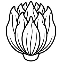 Endive line art vector