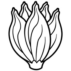Endive line art vector