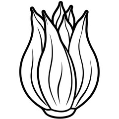 Endive line art vector