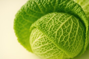 Fototapeta premium Close-up of a vegetable-themed background featuring a detailed cabbage macro shot