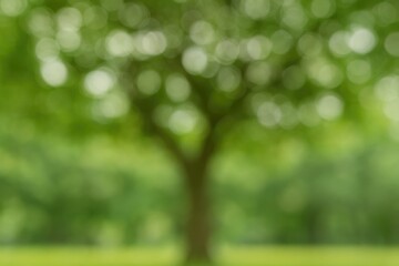 Obraz premium Blurred image of a tree showcasing its lush canopy