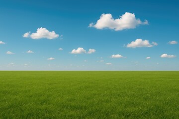 Fototapeta premium Clear sky and lush green grass backdrop