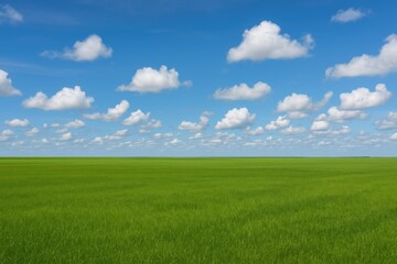 Obraz premium Azure heavens over lush meadows