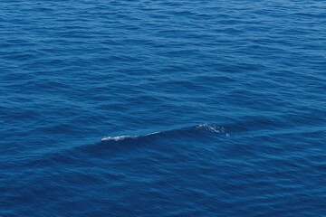 Fototapeta premium Calm turquoise waters with gentle surf