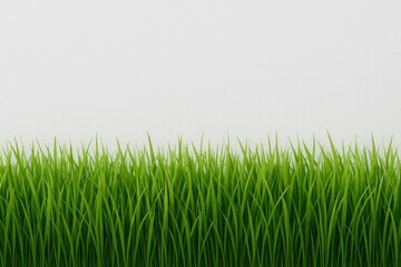 Lush green lawn contrasting with a white wall