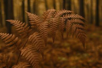 Lush greenery of a forest fern