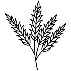 Heather line art vector