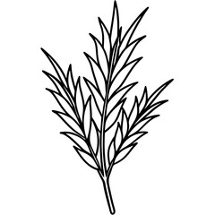 Heather line art vector