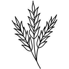 Heather line art vector