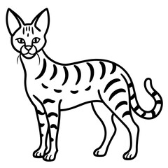 White Line Serval Design